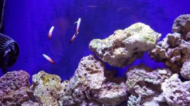 20150729_201421.jpg