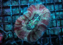IMG_2764.jpg