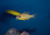 IMG_8464.jpg