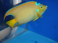 DSC01292.jpg