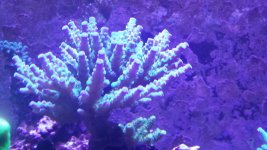 20151205_163106.jpg