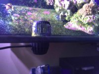 ImageUploadedByReefs2015-08-10 16:45:06 EDT.jpg