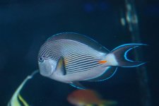 IMG_4708.jpg