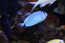IMG_0448.jpg