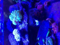 IMG_1893.jpg