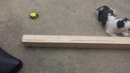20150616_110311.jpg