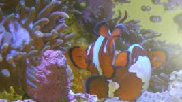 20160131_223146.jpg
