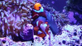 20160131_222107.jpg