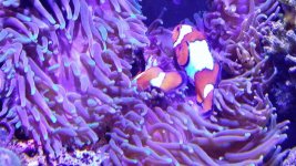 20160131_154833-ANIMATION.jpg