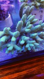 20160526_121302.jpg