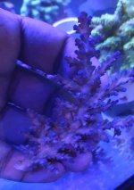 20160526_121529.jpg