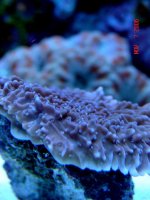 DSC04354.JPG