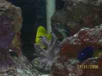 100_0585.jpg
