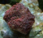 DSCF1078.JPG