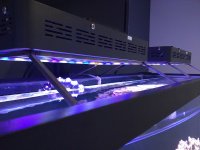 IMG_20160325_173830.jpg