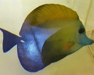 20160528_123709.jpg