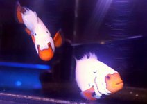 20160604_125539.jpg