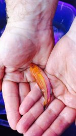 IMG_3301.jpg