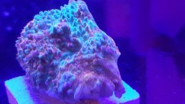 20160404_132611.jpg