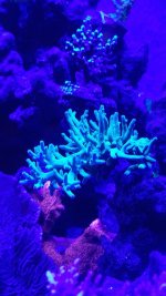 20150420_220039.jpg
