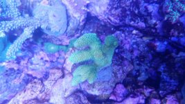 20160325_162520.jpg