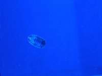 20160914_083940.jpg