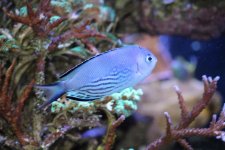 IMG_0467.jpg