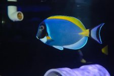 IMG_3460.jpg