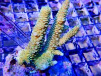 DSCN3963.jpg