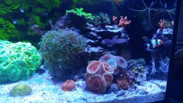 20160605_153801.jpg
