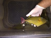 IMG_2020.jpg
