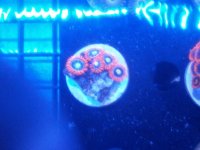 20150910_183954.jpg