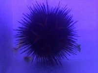 IMG_6001.JPG