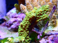 DSCN3458.JPG