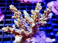 DSCN3460.JPG