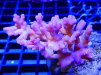 DSCN3462.JPG