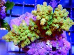 DSCN3468.JPG