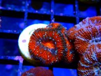 DSCN3470.JPG