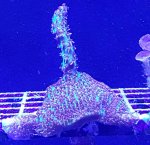 20160418_180122.jpg