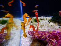 DSCN3514.JPG