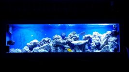 20151110_201009.jpg