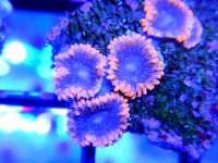 DSCN3583.JPG