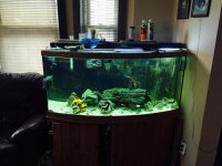 FullSizeRender (6).jpg