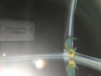 IMG_3596.jpg