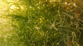 20160715_104141.jpg