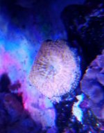 20160715_185117.jpg