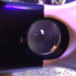 IMG_3883.jpg