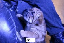 Ian2.jpg