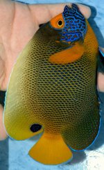 20160429_120408.jpg