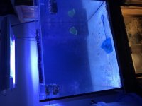 IMG_0259.jpg